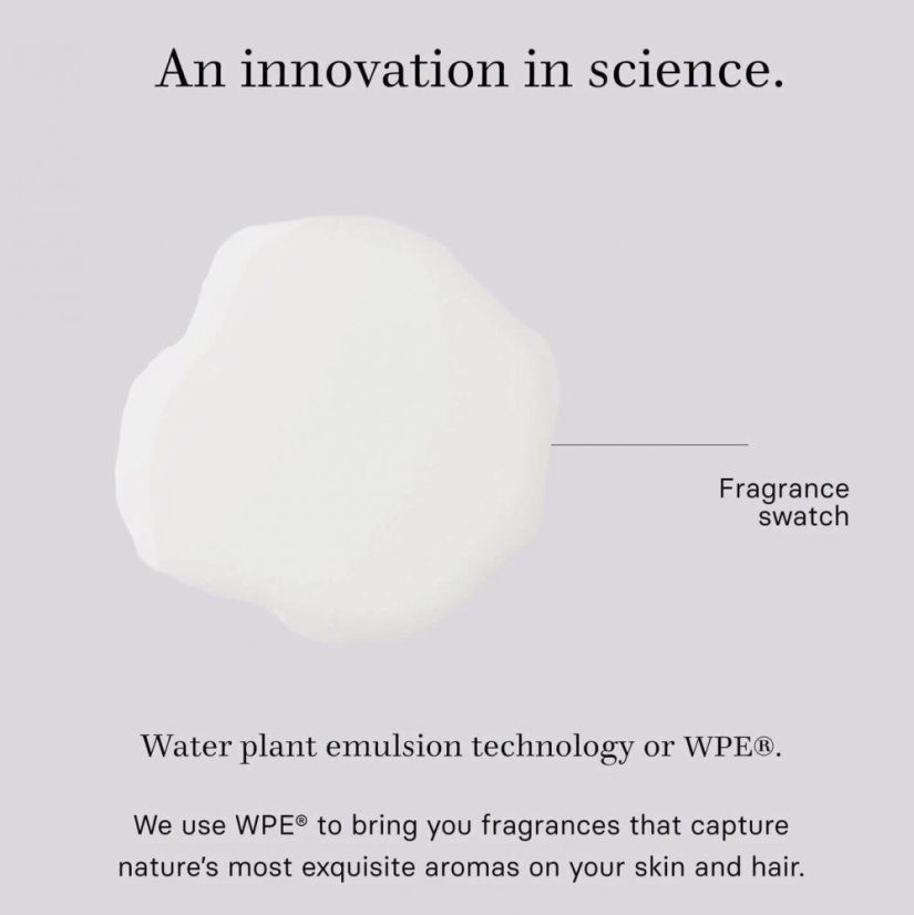 Pine Tree & Vetiver Alcohol-free Perfume | LA BRÛMÉE | Gratia Natura