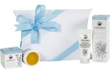 ODYLIQUE - THE GARDENER'S RESCUE Kit