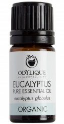 ODYLIQUE - Éterický olej EUKALYPTUS