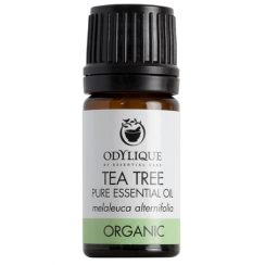 ODYLIQUE - Organic Essential Oil TEA TREE  | Gratia Natura