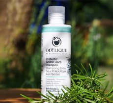 odylique prebiotic gentle herb shampoo min