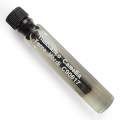 TERRE VERDI - Organic PURE Camellia Seed Oil for Sensitive Skin - THÉ BIANCO - sample